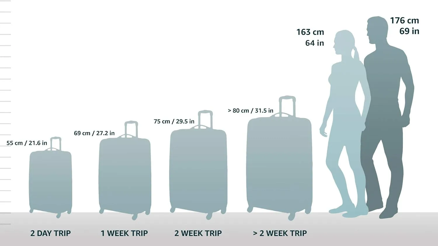 DELSEY PARIS Titanium Hardside Expandable Luggage with Spinner Wheels Checked Luggage, Purple, Checked-Medium 25 Inch