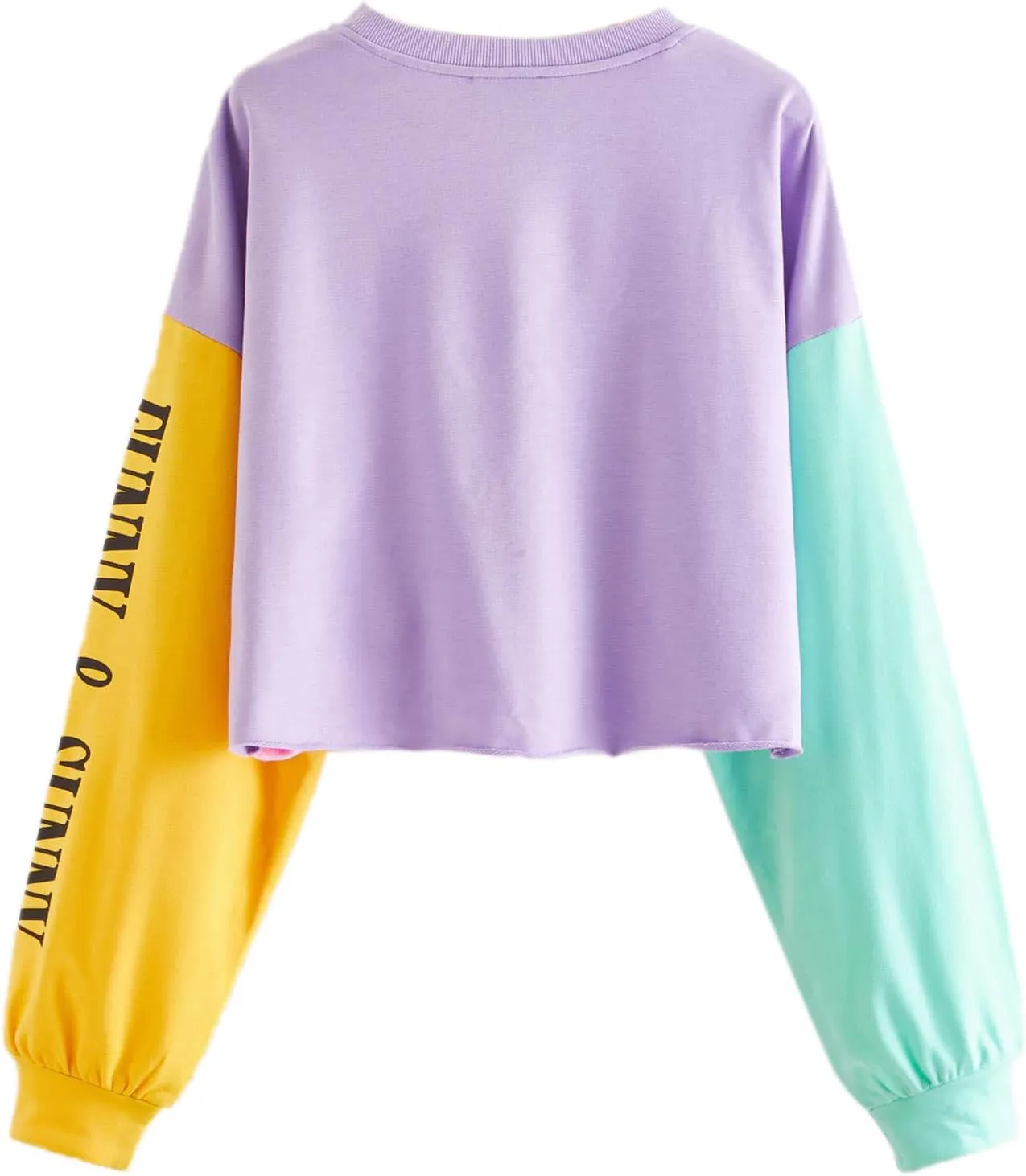 SweatyRocks Women's Letter Print Color Block Crop Sweatshirt Long Sleeve Pullover Tops